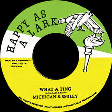 Load image into Gallery viewer, Michigan & Smiley / Raynier Jacildo : What A Ting / Murder At Strange Manor (7", Single)