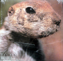 Load image into Gallery viewer, Butthole Surfers : Pepper (10", Single, Promo)