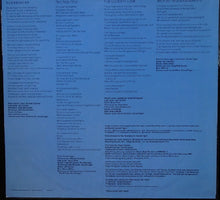 Load image into Gallery viewer, Donald Fagen : The Nightfly (LP, Album, SRC)