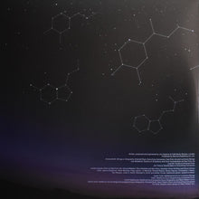 Load image into Gallery viewer, Jon Hopkins : Singularity (2xLP, Album, 180)