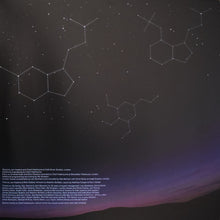 Load image into Gallery viewer, Jon Hopkins : Singularity (2xLP, Album, 180)