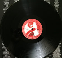 Load image into Gallery viewer, System Of A Down : Hypnotize (LP, Album, RE)