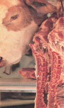 Load image into Gallery viewer, Faith No More : Angel Dust (Cass, Album, SR,)