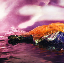 Load image into Gallery viewer, Sophie (42) : Oil Of Every Pearl's Un-Insides (LP, Album, Red)