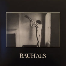 Load image into Gallery viewer, Bauhaus : In The Flat Field (LP, Album, RE)