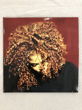 Load image into Gallery viewer, Janet Jackson : The Velvet Rope (2xLP, Album, RE, 180)