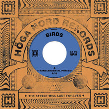 Load image into Gallery viewer, Birds (9) : Transcendental Phases / Tunnel Vision (7", Single)