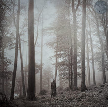 Load image into Gallery viewer, Taylor Swift : Folklore (2xLP, Album, Dlx, Bro)