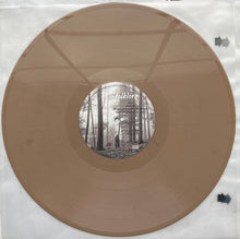 Load image into Gallery viewer, Taylor Swift : Folklore (2xLP, Album, Dlx, Bro)