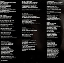 Load image into Gallery viewer, The Pains Of Being Pure At Heart : The Pains Of Being Pure At Heart (LP, Album)