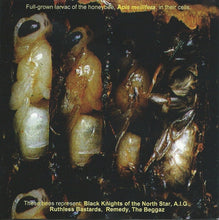 Load image into Gallery viewer, RZA Presents Wu-Tang Killa Bees : The Swarm (Volume 1) (CD, Album)
