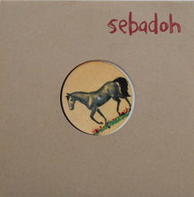 Load image into Gallery viewer, Sebadoh : Beauty Of The Ride (10")