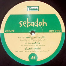 Load image into Gallery viewer, Sebadoh : Beauty Of The Ride (10")