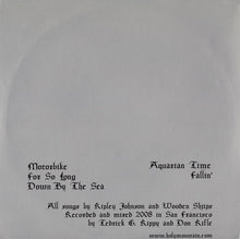 Load image into Gallery viewer, Wooden Shjips : Dos (LP, Album)