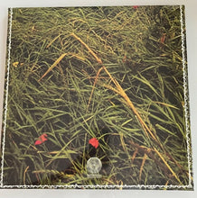 Load image into Gallery viewer, Ian Carr : Belladonna (LP, Album, RE, RM, Gat)