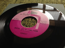 Load image into Gallery viewer, Sunday (6) : Ain't Got No Problems (7")