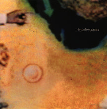 Load image into Gallery viewer, Muslimgauze : Melt (12", Ltd, RE)