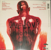 Load image into Gallery viewer, DMX : Flesh Of My Flesh Blood Of My Blood (2xLP, Album, MP, RE, Cle)