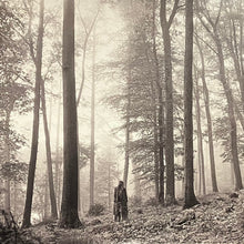 Load image into Gallery viewer, Taylor Swift : Folklore (2xLP, Album, Dlx, RE, Gol)