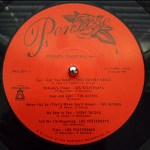 Load image into Gallery viewer, Various : Penrose Showcase Vol. 1 (LP, Comp, RP)