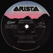 Load image into Gallery viewer, Haddaway : What Is Love (12")