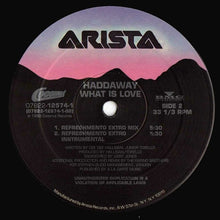 Load image into Gallery viewer, Haddaway : What Is Love (12")