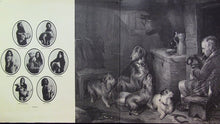 Load image into Gallery viewer, Pavlov's Dog : Pampered Menial (LP, Album, Ter)