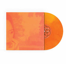 Load image into Gallery viewer, DJ Not A DJ : Djnotadj - Deep Roots In Shallow Ground (20th Anniversary Remaster) (2xLP, Dlx, RE, RM, S/Edition)