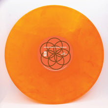 Load image into Gallery viewer, DJ Not A DJ : Djnotadj - Deep Roots In Shallow Ground (20th Anniversary Remaster) (2xLP, Dlx, RE, RM, S/Edition)