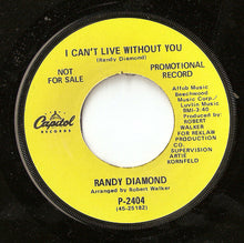 Load image into Gallery viewer, Randy Diamond : Giving You My Love / I Can't Live Without You (7", Promo)