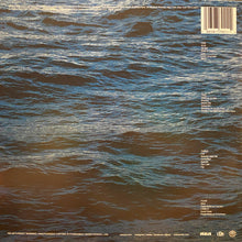 Load image into Gallery viewer, SZA (2) : SOS (2xLP, Album, MPO)