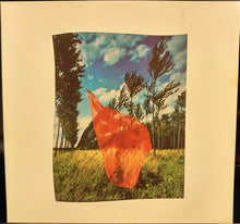 Load image into Gallery viewer, Pink Floyd : Wish You Were Here (LP, Album, Blu)