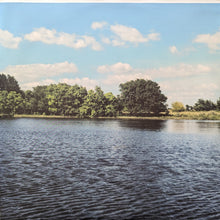 Load image into Gallery viewer, Khruangbin : A La Sala (LP, Album)