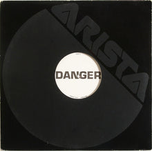 Load image into Gallery viewer, Ace Of Base : Living In Danger (12", TP)