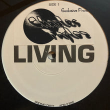 Load image into Gallery viewer, Ace Of Base : Living In Danger (12", TP)