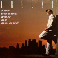 Load image into Gallery viewer, Breeze (2) : The Young Son Of No One (LP, Album)