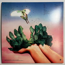 Load image into Gallery viewer, Raveena (2) : Where the Butterflies Go in the Rain (2xLP, Album, Dlx, Cle)