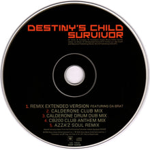 Load image into Gallery viewer, Destiny's Child : Survivor (Dance Mixes) (CD, Maxi)