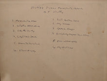 Load image into Gallery viewer, Stuffy* : Stuffy's Frozen Parachute Band (LP, Advance, Album)