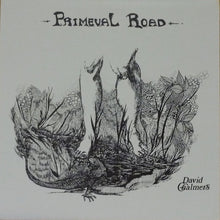 Load image into Gallery viewer, David Chalmers : Primeval Road (LP, Album, Gat)