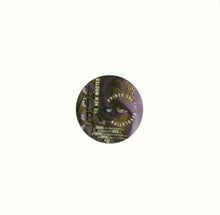 Load image into Gallery viewer, Prince And The Revolution : 1999 (The New Master) (12", EP, Promo, Pur)