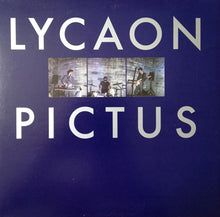 Load image into Gallery viewer, Lycaon Pictus : Lycaon Pictus (LP)