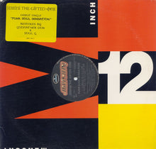 Load image into Gallery viewer, Jemini The Gifted One : Funk Soul Sensation (Remixes) (12", Single, Promo)