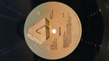 Load image into Gallery viewer, Ministry : Work For Love (12")