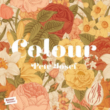Load image into Gallery viewer, Pete Josef : Colour (LP, Album, Ltd)
