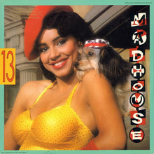 Load image into Gallery viewer, Madhouse : 13 (12", Maxi)