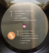 Load image into Gallery viewer, Blonde Redhead : Misery Is A Butterfly (LP, Album, RE)