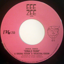 Load image into Gallery viewer, Penza Penza : Donald Trump (7", Num)