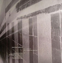 Load image into Gallery viewer, Dante & Dhula : Gallery 002 (12")