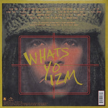 Load image into Gallery viewer, Erykah Badu : Mama's Gun (2xLP, Album, RE)